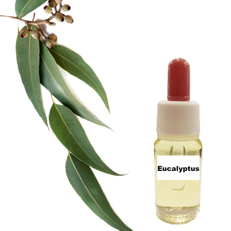 Ευκάλυπτος (15 ml)