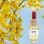 Γαζία Ολλανδίας Ν.33  (15 ml)