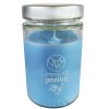 Candle Art Άρωματικό Κερί 72h 370ml #Μανόλια