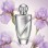 Iris Fusion Women (χύμα άρωμα) – Τύπου Infusion d'Iris