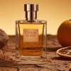 Terra Spirit Men (χύμα άρωμα) – Τύπου Terre d'Hermes