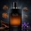 Élite Homme Intense (χύμα άρωμα) – Τύπου Dior Homme Intense