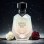 Midnight Treasure Musc Women (χύμα άρωμα) – Τύπου La Nuit Tresor Musc Diamant