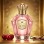 Divina & Gentile Queen Women (χύμα άρωμα) – Τύπου Q