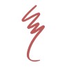 Golden Rose Dream Lips Pencil – #540
