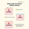 COSRX Advanced Snail 96 Mucin Power Essence 100ml - Ορός Ανάπλασης & Ενυδάτωσης
