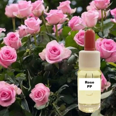 Τριαντάφυλλο Μαΐου (15 ml)