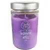 Candle Art Άρωματικό Κερί 72h 370ml #Λεβάντα