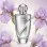 Iris Fusion Women (χύμα άρωμα) – Τύπου Infusion d'Iris