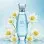 Pure Aqua For Her (χύμα άρωμα) – Τύπου L'eau d'Issey