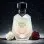 Midnight Treasure Musc Women (χύμα άρωμα) – Τύπου La Nuit Tresor Musc Diamant