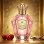 Divina & Gentile Queen Women (χύμα άρωμα) – Τύπου Q